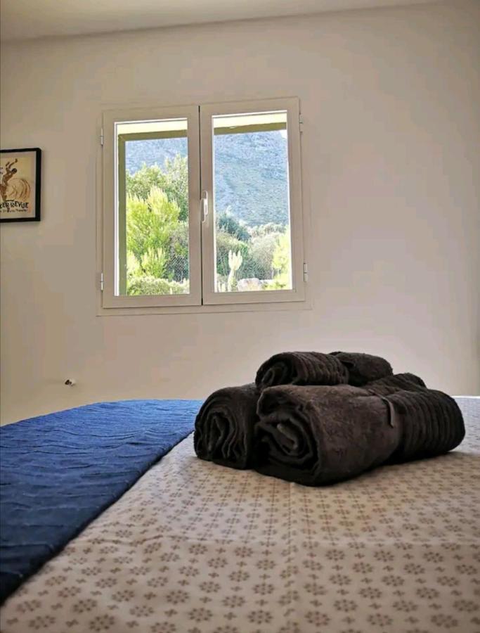 Casa Hokie Villa โคโลเนีย เด ซานเปโดร ภายนอก รูปภาพ